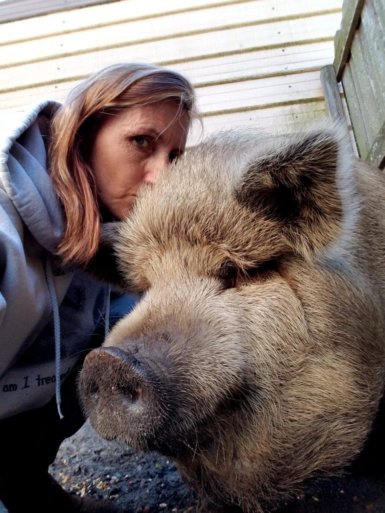 About Us Second Chance Rescue