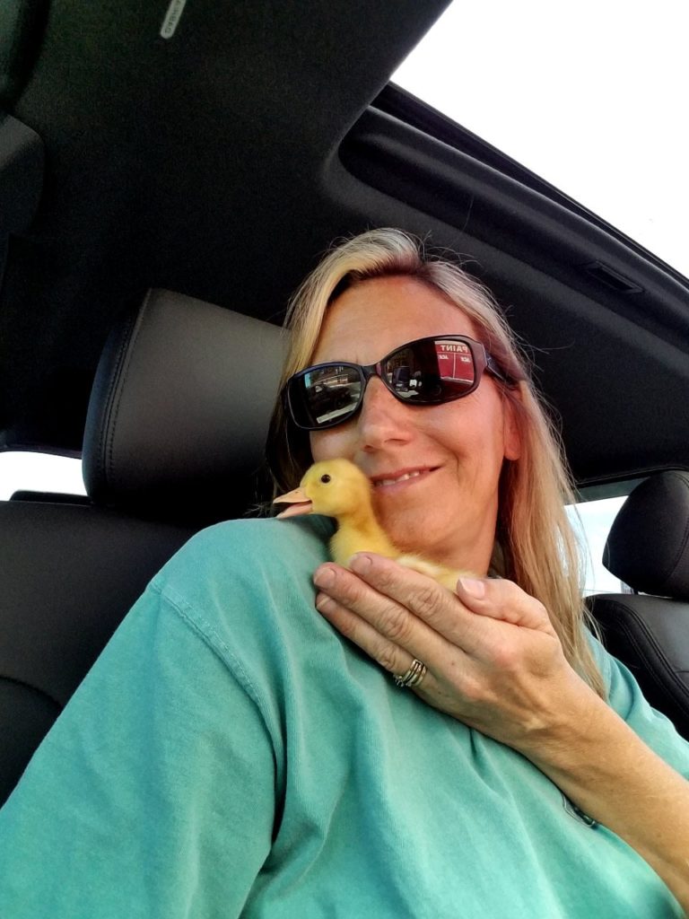 About Us Second Chance Rescue